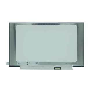 Lenovo ThinkPad T495 (Type 20NJ, 20NK) Display 14,0“ FHD IPS TOUCH